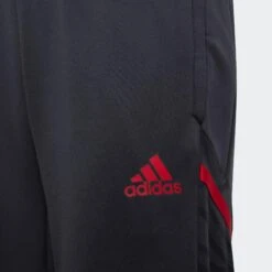 ADIDAS FC Bayern Condivo 22 Training Pants -Palmeiras Shop k01ca838fc03511ed2ee8590cee75f3bd