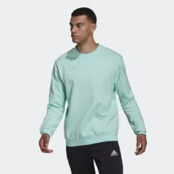 ADIDAS Entrada 22 Sweatshirt -Palmeiras Shop k0759782172fbafd1589c8e1285f27804