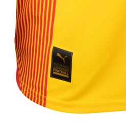Puma Kids' RC Lens Home Shirt 23/24 -Palmeiras Shop k078a102d5913d06aea0992a5a46ac976 1