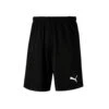 Puma Liga Mens Training Short -Palmeiras Shop k0e04fb3aa747084c17003dfebdae032b