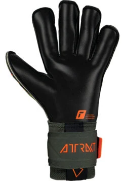 Reusch Attrakt Gold X Evolution Cut Goalkeeper Gloves -Palmeiras Shop k0e1563f07cbb135ba8c8b78915b2163c
