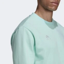 ADIDAS Entrada 22 Sweatshirt -Palmeiras Shop k0fc072850397b9234ec838f1186c497f