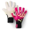 Puma FUTURE Pro Hybrid TRICKS X EURO 2016 Goalkeeper Gloves -Palmeiras Shop k103cb733ee08a582679f05e85417ac05