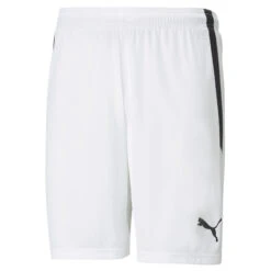 PUMA Mens TeamLIGA Football Shorts