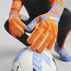 Puma FUTURE ULTIMATE NC Goalkeeper Gloves -Palmeiras Shop k15f3ec62e714f6baff9cf0b1c344cfca