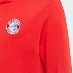 ADIDAS FC Bayern Hoodie Juniors' -Palmeiras Shop k1726bb7155f446b0ba04e8c2d3bff278