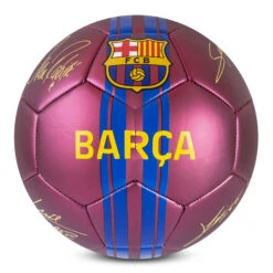 Barcelona 26 Panel Size 5 Cosmos Ball
