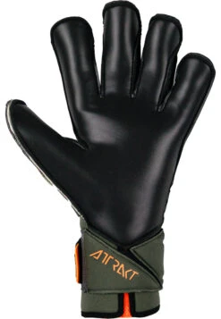 Reusch Attrakt Duo Evolution AdaptiveFlex Goalkeeper Gloves -Palmeiras Shop k1d6af4a328998444762f31f5ddacf0d0