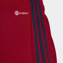 ADIDAS Ajax Amsterdam 22/23 Away Shorts -Palmeiras Shop k2187ec11bd2f283419298301bac458de