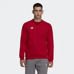 ADIDAS Entrada 22 Sweatshirt -Palmeiras Shop k25b263d2354bd4fc20c5f7bf7be214a2