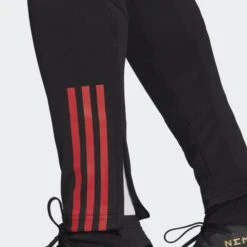 ADIDAS Belgium Tiro 23 Training Pants 11 ADIDAS Belgium Tiro 23 Training Pants -Palmeiras Shop k32ffc68efc6648312c7de32f098ea71a