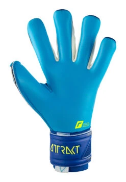 Reusch Attrakt Aqua Goalkeeper Gloves 20 Reusch Attrakt Aqua Goalkeeper Gloves -Palmeiras Shop k3817719245a5235f9a927d89c66c7954