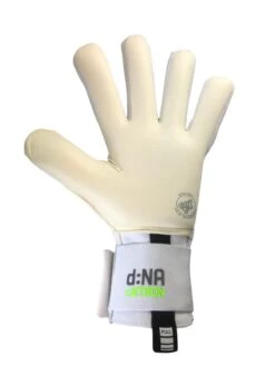 I:NTRON GLOVEGLU ORIGINAL FP JUNIOR White -Palmeiras Shop k3c73137c209eff0557ceaafff6d7455e
