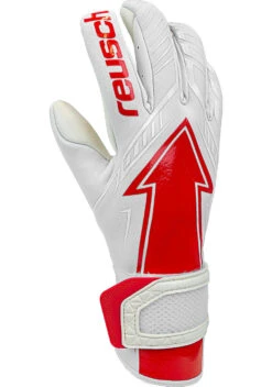 Reusch Arrow Gold X Goalkeeper Gloves -Palmeiras Shop k3e9f3a689eed158f9eef357bd1d59269