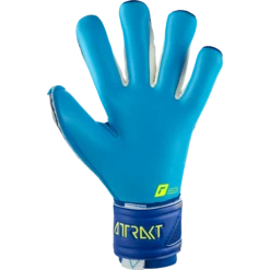 Reusch Goalkeeper Gloves Attrakt Aqua -Palmeiras Shop k443738f1054f856cfecd7193483f9e89
