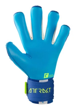 Reusch Attrakt Freegel Aqua Windproof Goalkeeper Gloves -Palmeiras Shop k448ce90a80e27428bbe087a565e5d010