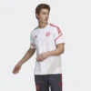 ADIDAS FC Bayern Condivo 22 Training Tee -Palmeiras Shop k47839f07ebd11b24a00589b72af1ce58