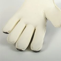 HO Soccer PHENOMENON PRO 1V Goalkeeper Gloves -Palmeiras Shop k497a2fe96c775b81d0587f68b36c1eb7