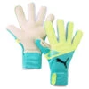 Puma FUTURE Pro Hybrid EDERSON Goalkeeper Gloves -Palmeiras Shop k5150bc004761e6190679a1a1b8f10909