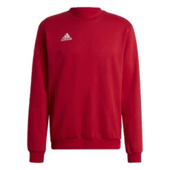 ADIDAS Entrada 22 Sweatshirt -Palmeiras Shop k5682a1d29337a51f9f18697d2c67ecb2