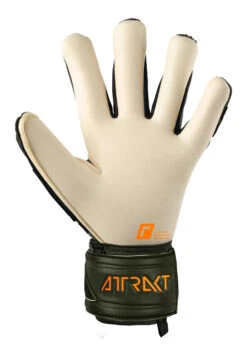 Reusch Attrakt Freegel Gold X Goalkeeper Gloves -Palmeiras Shop k56bbfa578c3a40c67c8a60ddbe98a162