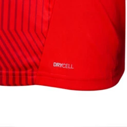 Puma Adult Training Shirt RC Lens 21/22 -Palmeiras Shop k5e01a3e39579d557fd9be1e9d606de39