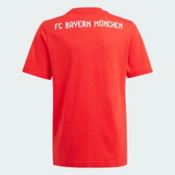 ADIDAS FC Bayern Tee Juniors' -Palmeiras Shop k610b98b55c908d08c56aebddd3cf1ad0