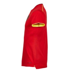 Kipsta Adult Shirt FF100 -Palmeiras Shop k6f6d7d9e9a24fb63df2482789b0fd89a