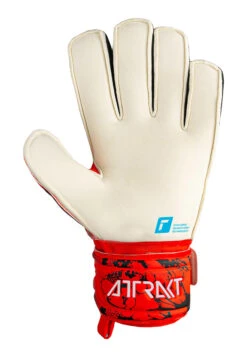 Reusch Attrakt Grip Finger Support Goalkeeper Gloves -Palmeiras Shop k74e9d28c47bd047bb09b57b6e568b7af