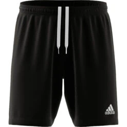 ADIDAS Adult Football Shorts Entrada 16 ADIDAS Adult Football Shorts Entrada -Palmeiras Shop k77c959c3c402da528412a03bdba1b6ba