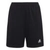 ADIDAS Entrada 22 Training Shorts -Palmeiras Shop k79b7c80d11f4a5f13ebf2c654670a221