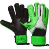 AB1 UNO 2.0 Academy Roll Goalkeeper Gloves -Palmeiras Shop k88228a13fd16cb897f013d7c37d5f1cf