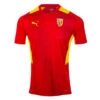 Puma Adult Training Shirt RC Lens 21/22 -Palmeiras Shop k8e3d6d3e17ac4aec482eea604786a005