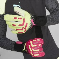 Puma FUTURE Pro Hybrid TRICKS X EURO 2016 Goalkeeper Gloves -Palmeiras Shop ka69f84255cb04921ad8bd39820020a45
