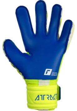 Reusch Attrakt Duo Goalkeeper Gloves -Palmeiras Shop ka8963da720ba63815c1befc6c9115f59