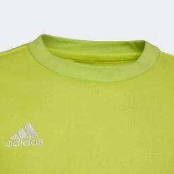 ADIDAS Entrada 22 Sweat Top -Palmeiras Shop kab158f900194535d891ee88d7d0ef199