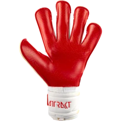 Reusch Goalkeeper Gloves Attrakt Gold X GluePrint 8 Reusch Goalkeeper Gloves Attrakt Gold X GluePrint -Palmeiras Shop kab866f937f09bbc59c9fbac17721f136