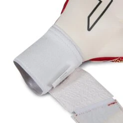 Rinat ASIMETRIK STELLAR SEMI Goalkeeper Gloves -Palmeiras Shop kad935bed3b64b8ed37a0f2baa1d9d690