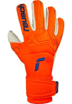 Reusch Attrakt Freegel SpeedBump Goalkeeper Gloves -Palmeiras Shop kae27d2dee543128d0a0f34f5076ce7b4