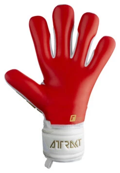 Reusch Attrakt Freegel Silver Goalkeeper Gloves -Palmeiras Shop kb63d9c4710f149ad2b1c59f6e8ff78ac