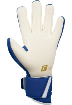 Reusch Arrow Gold X Goalkeeper Gloves 20 Reusch Arrow Gold X Goalkeeper Gloves -Palmeiras Shop kb9a22000b0b3dc5e3977b680ea642b35
