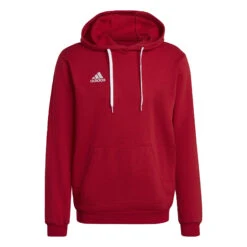 ADIDAS Entrada 22 Sweat Hoodie -Palmeiras Shop kbc1f73207a9a9b2bc2a0700690c27618