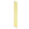 TREMBLAY Slalom Training Pack Of 3 Poles - Yellow Red 1 TREMBLAY Slalom Training Pack Of 3 Poles - Yellow Red -Palmeiras Shop kbdba93e748908d470b060883fe787e71
