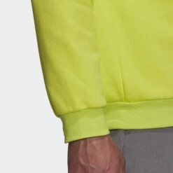 ADIDAS Entrada 22 Sweatshirt -Palmeiras Shop kd1719a00234135e5050d4904a80d0c46