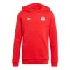 ADIDAS FC Bayern Hoodie Juniors' -Palmeiras Shop kd335220a2856061366a30196cce169cd