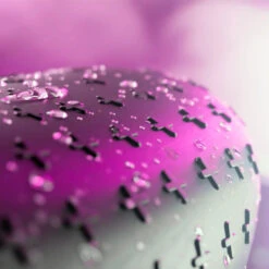 Kipsta Football Boots Traxium Compressor FG -Palmeiras Shop kf23980ec04b90b84b3c23820b999c93d